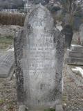 image of grave number 295012